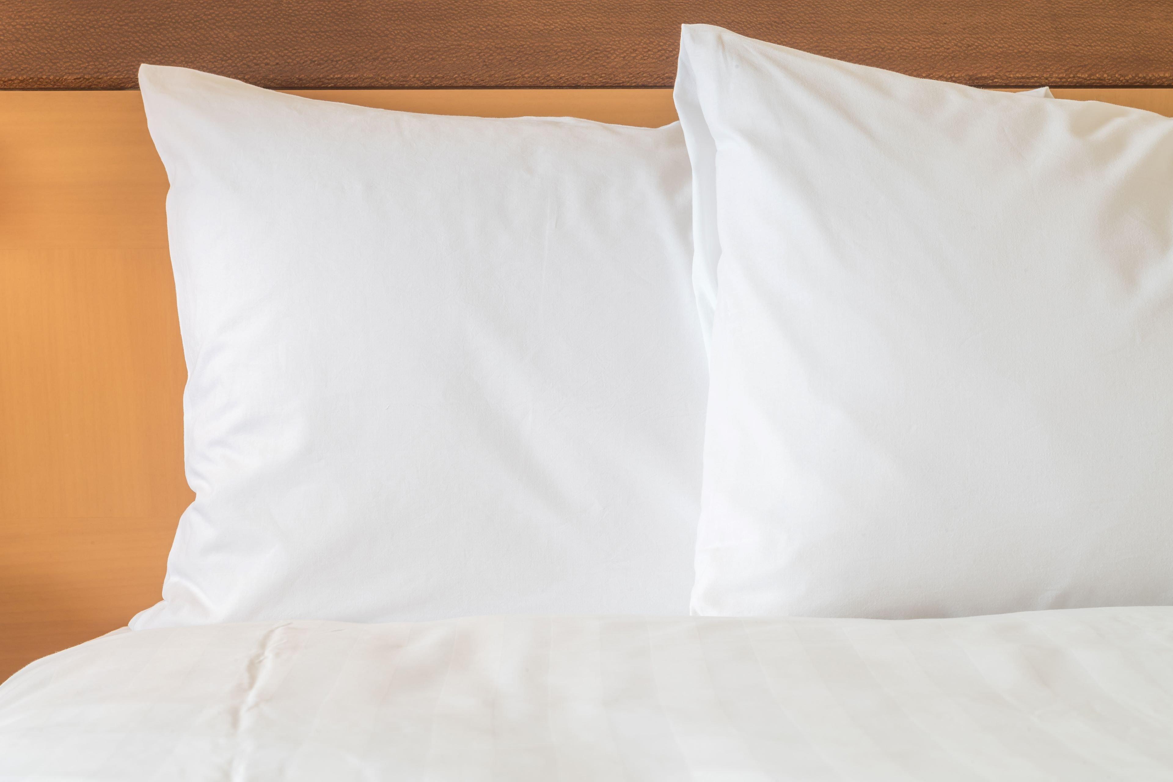 Holiday Inn Express Hotel & Suites Santa Cruz By Ihg Eksteriør bilde